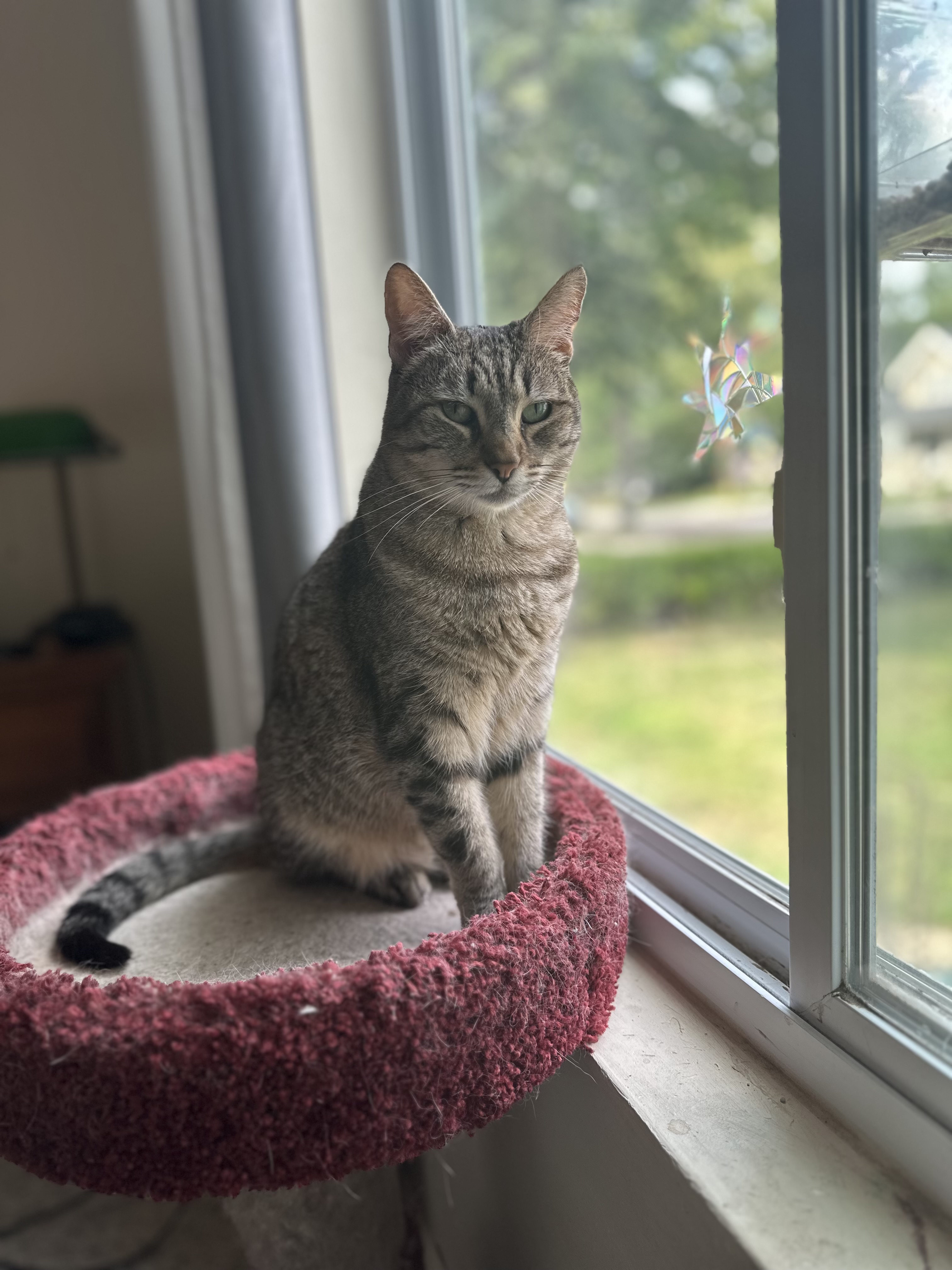 Pepper