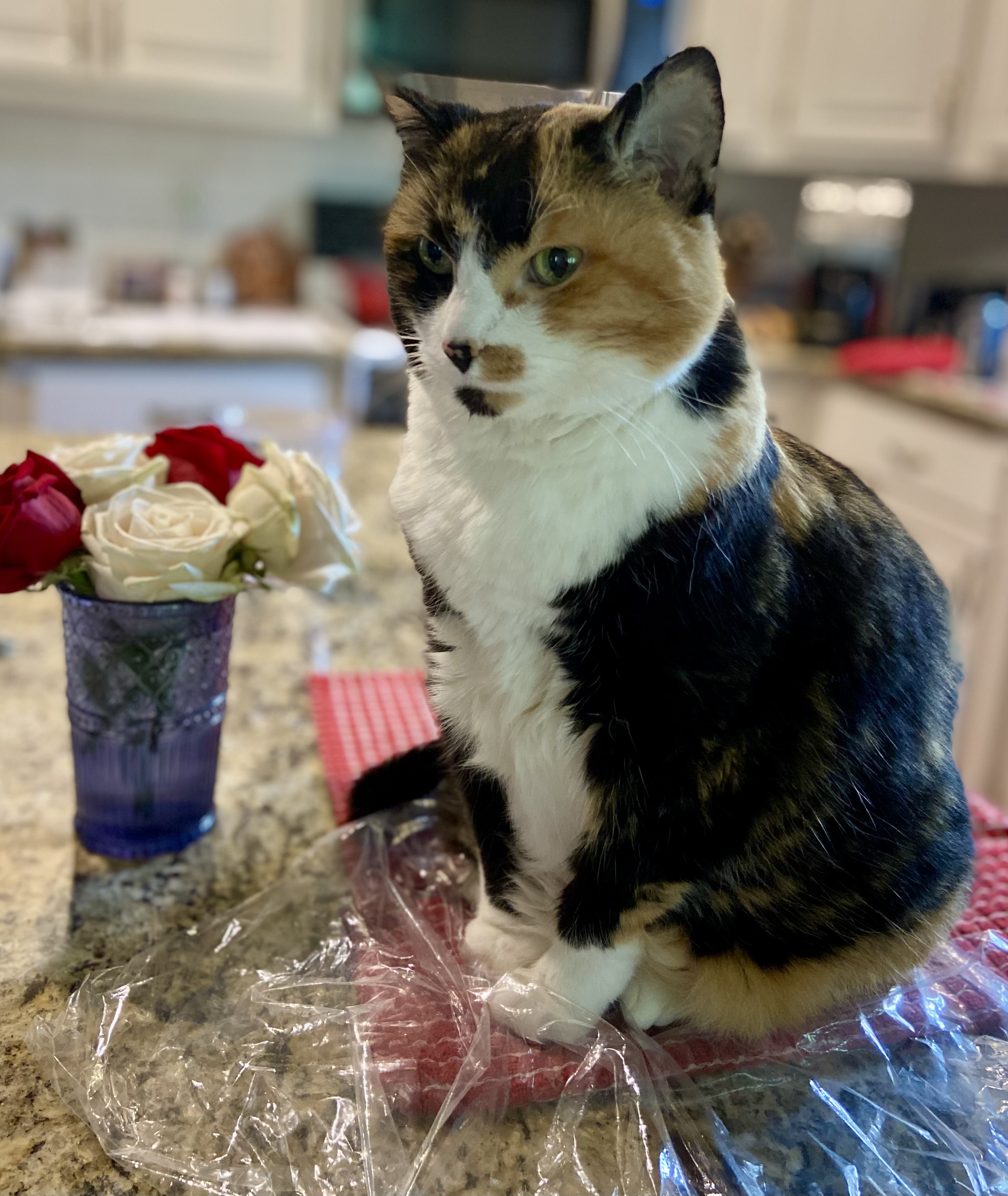 Ella
