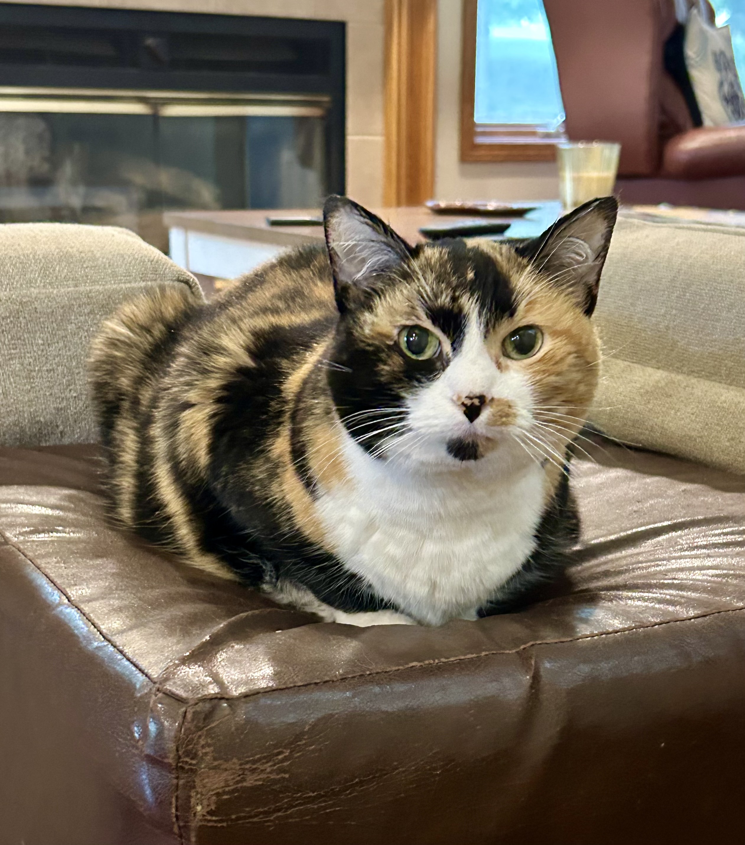 Ella