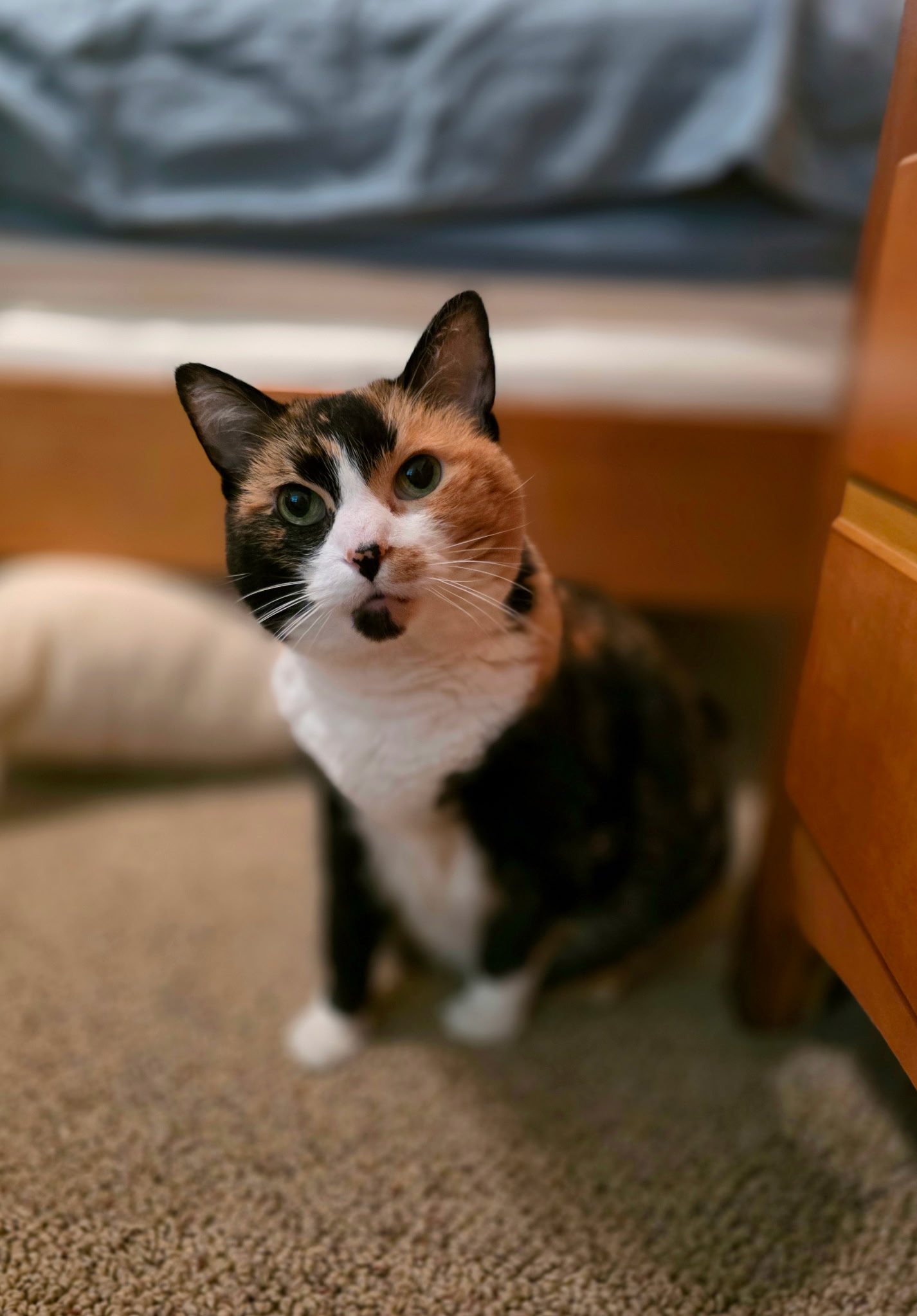 Ella