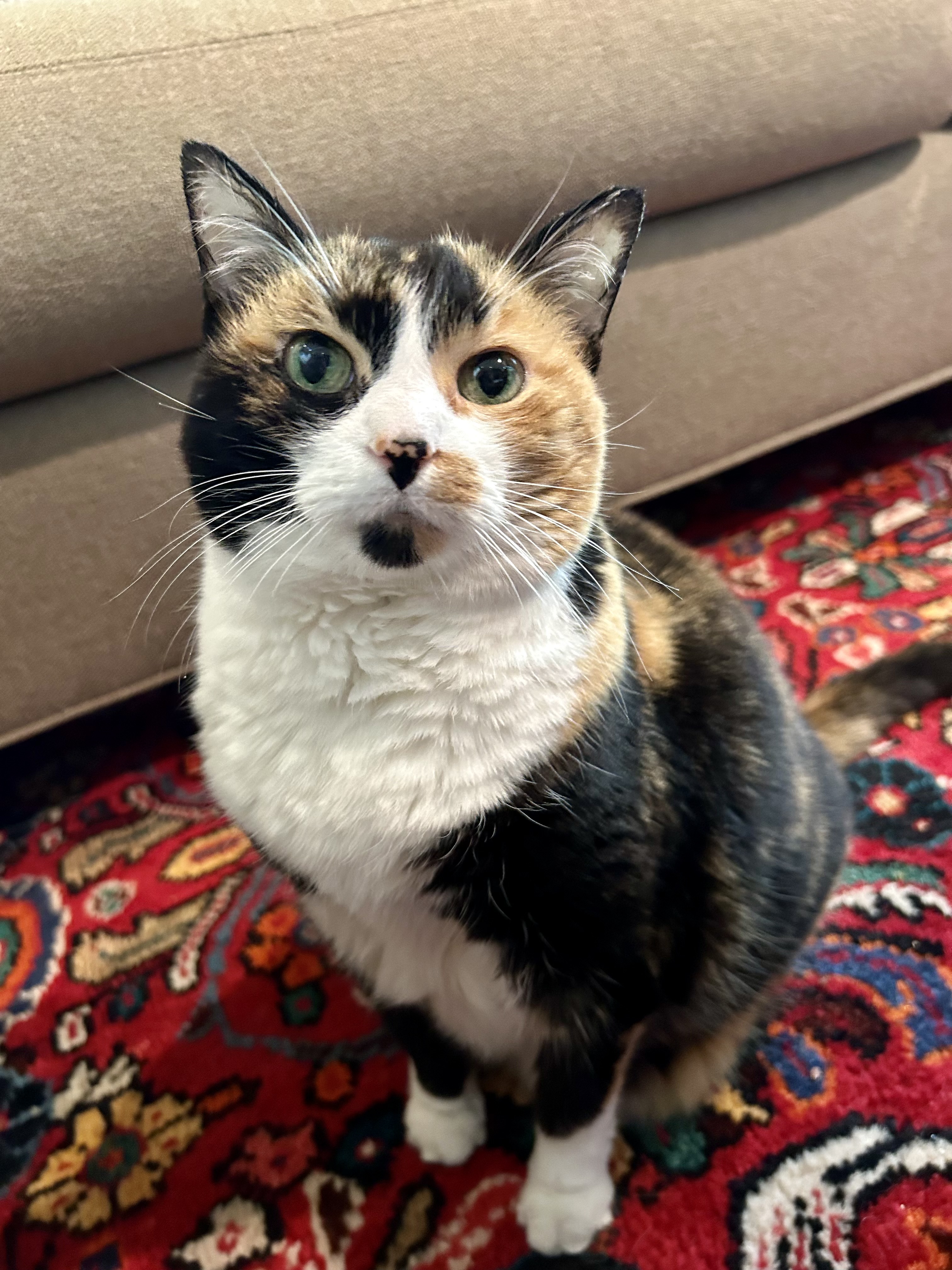 Ella