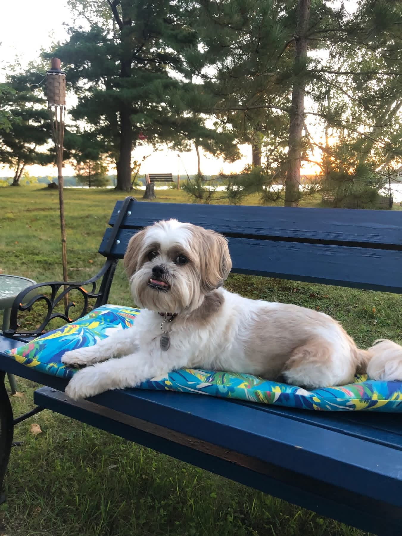 Duke Murphy Skalecki