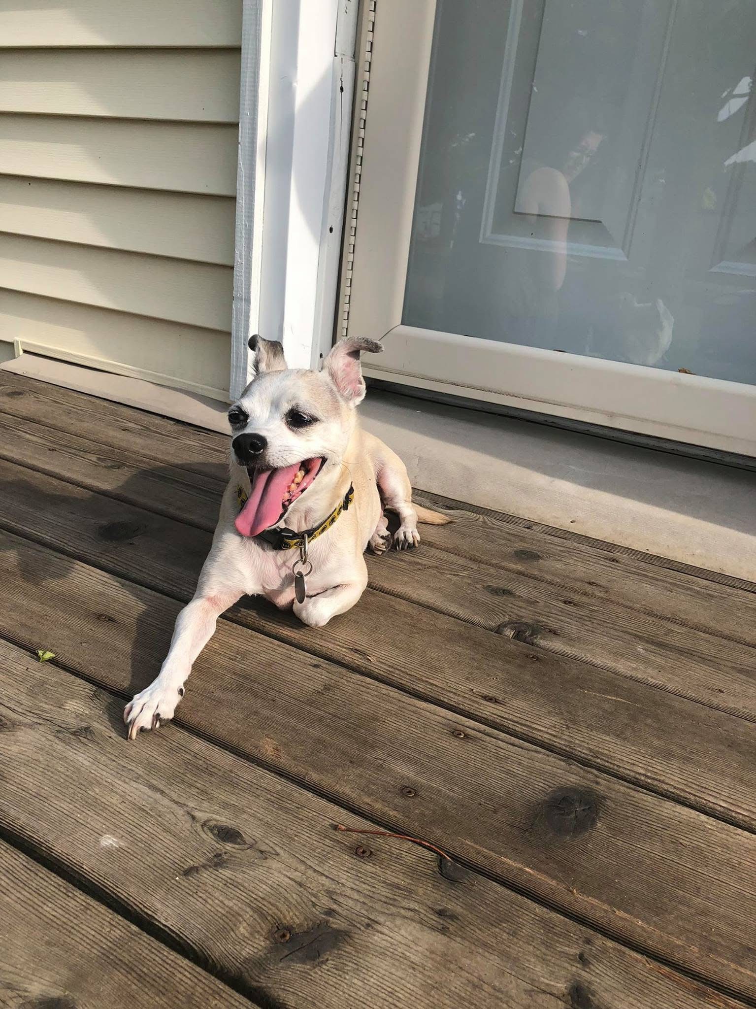 Lola
