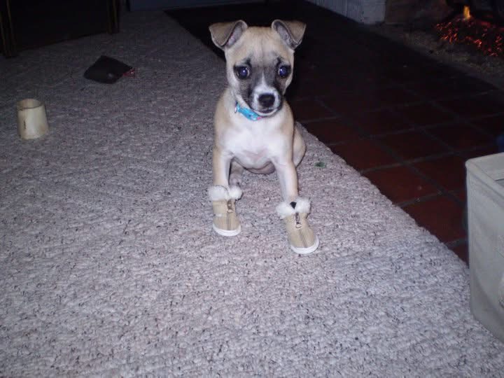 Lola