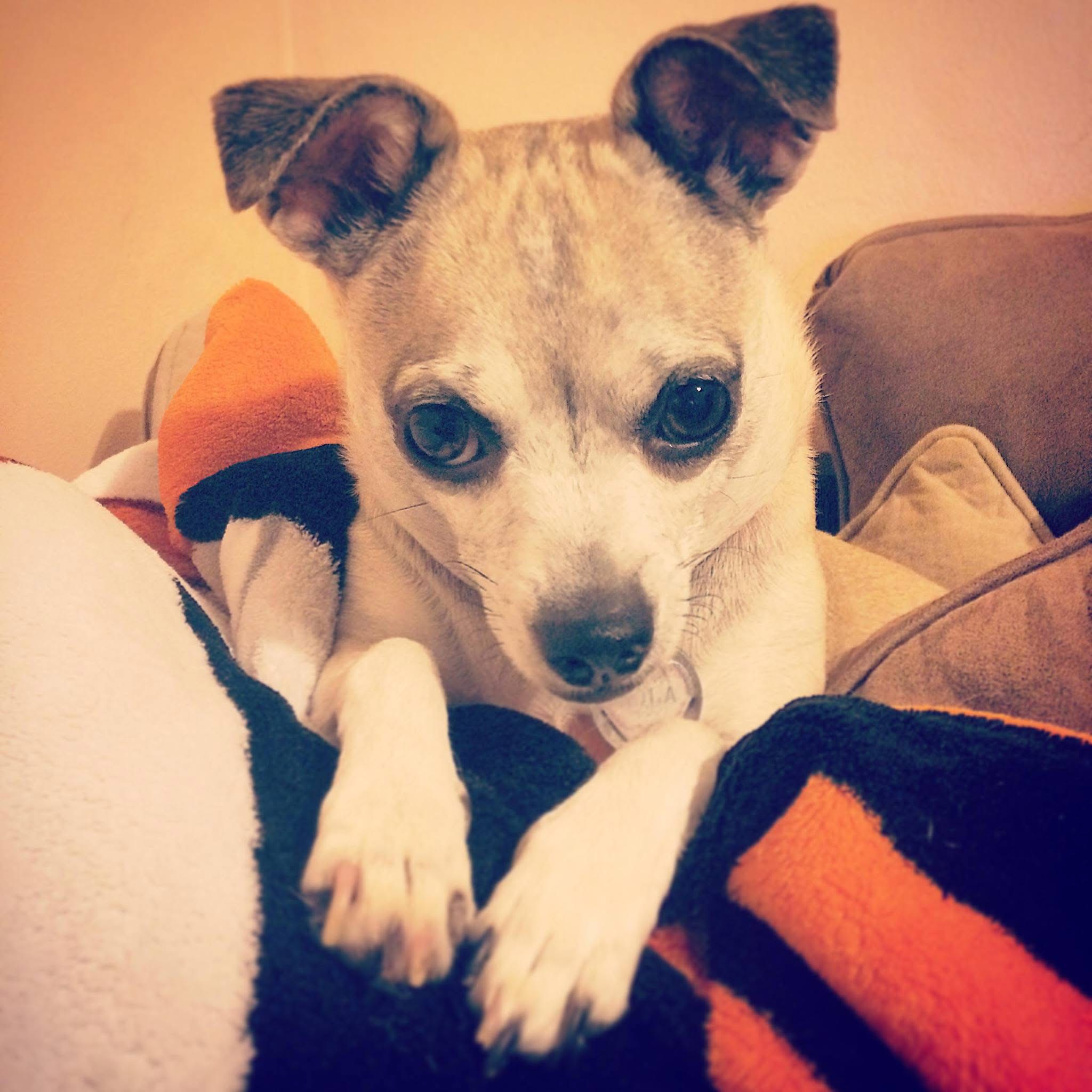 Lola