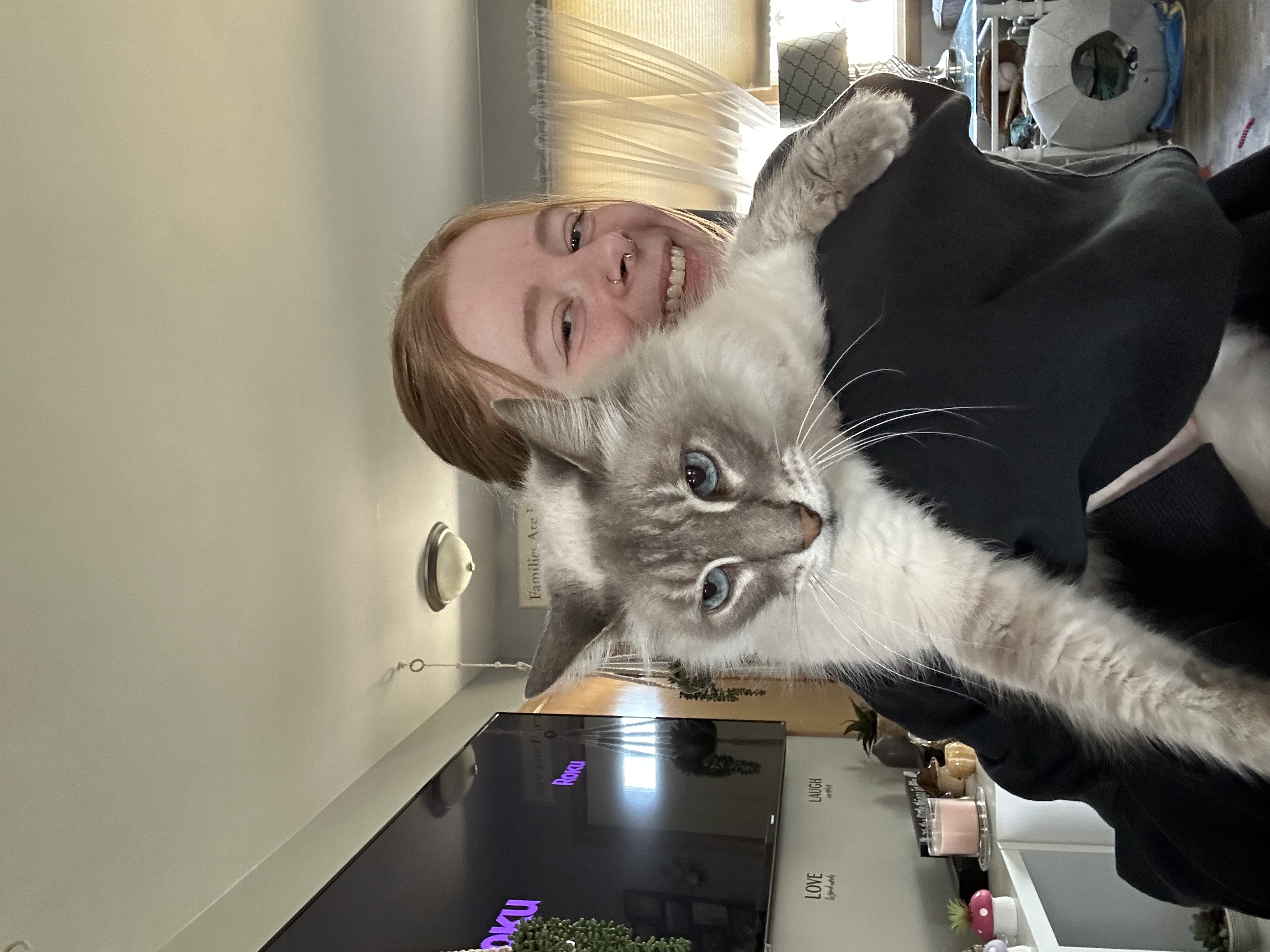 Koda