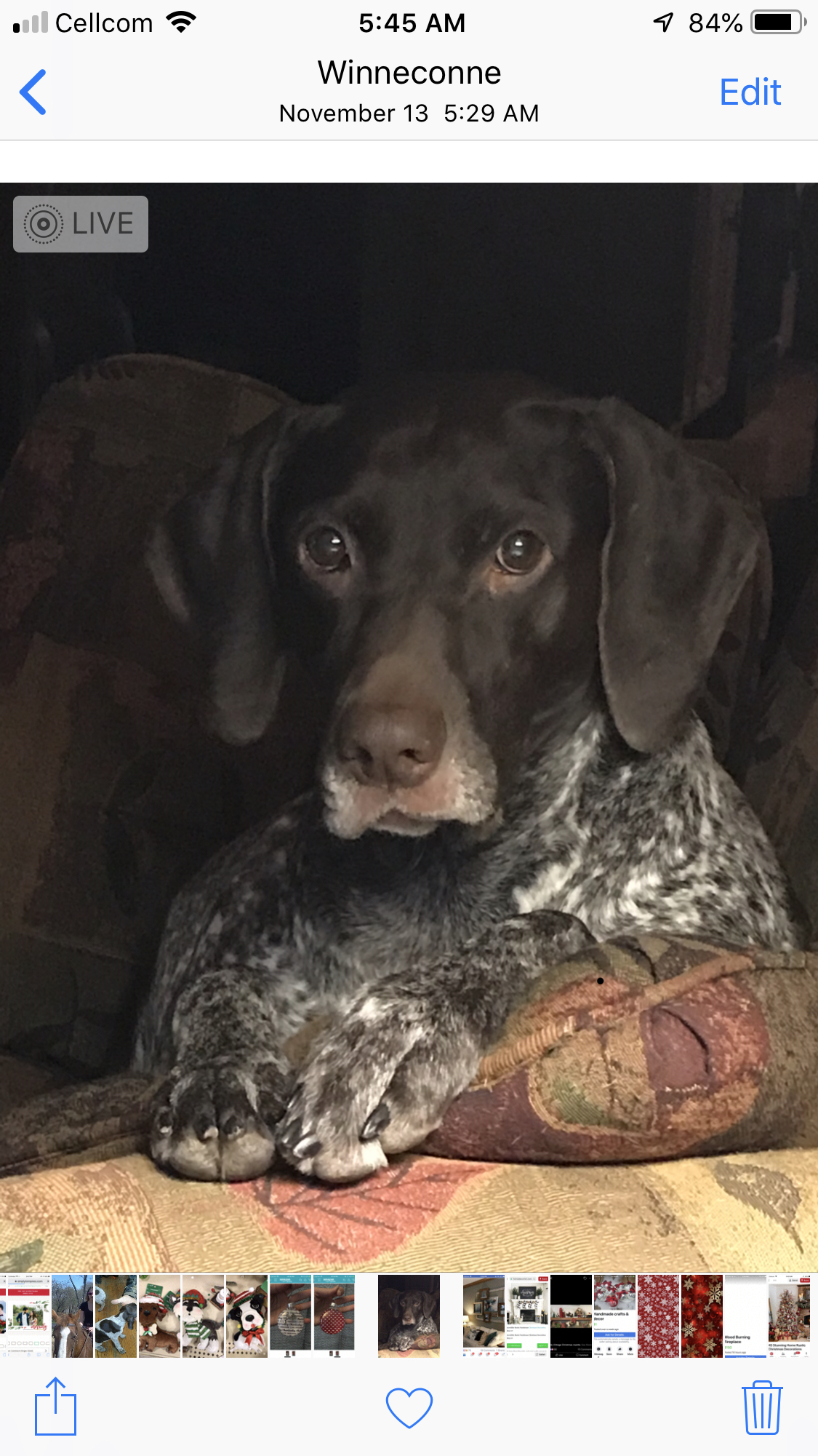 Nellie